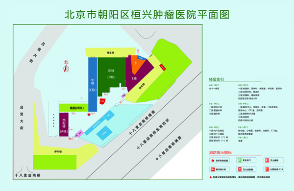 骚逼艹鸡巴哦哦网站北京市朝阳区桓兴肿瘤医院平面图